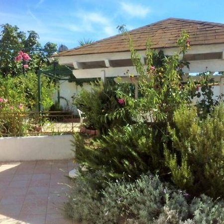 Appartement 3 Chambres Proche Mer Entre Palavas Les Flots Et Frontignan Plage Dans Maison Avec Jardin Villeneuve-lès-Maguelonne Exterior foto